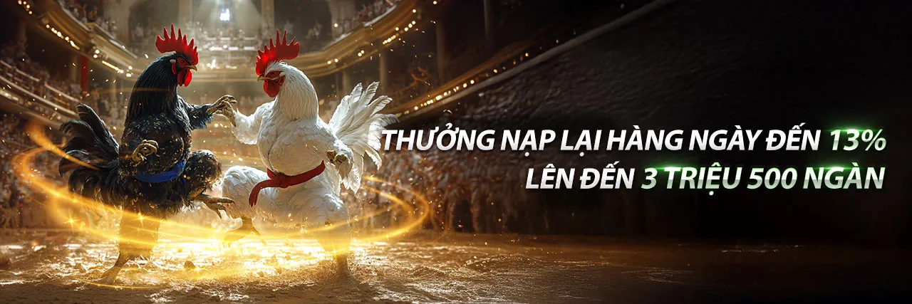 Đá gà SV388 trực tiếp